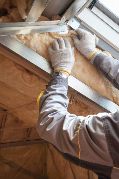 Best Insulation Maintenance and Repair in , WY